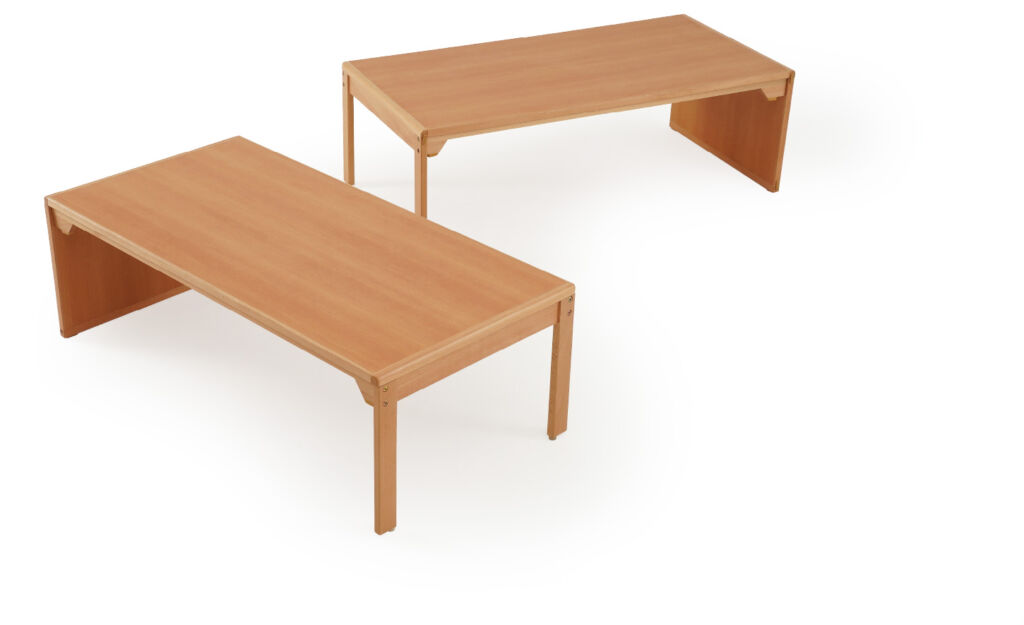 AN Table S2（2歳用）